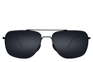 Stealth Polarized