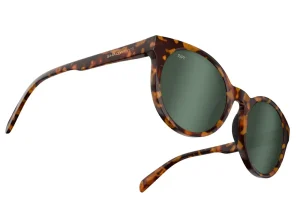 Tortoise Polarized